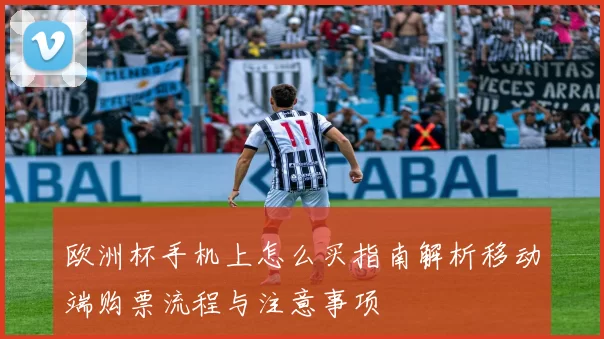 欧洲杯手机上怎么买指南解析移动端购票流程与注意事项