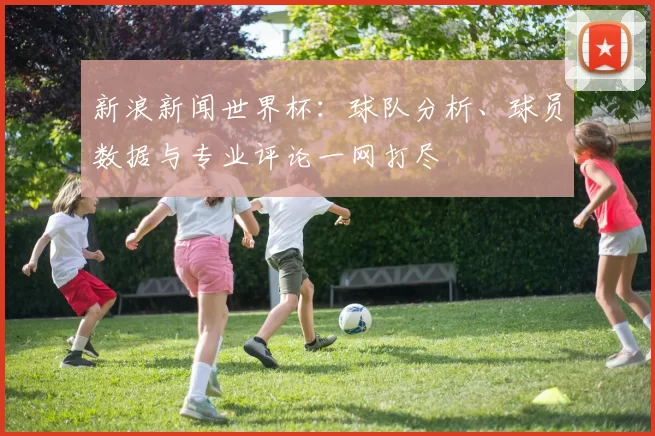 新浪新闻世界杯：球队分析、球员数据与专业评论一网打尽