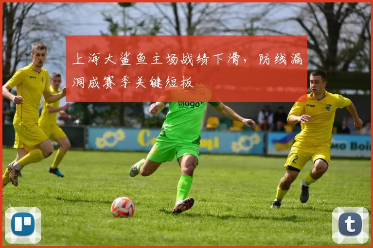 上海大鲨鱼主场战绩下滑,防线漏洞成赛季关键短板