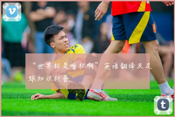 “世界杯是啥杯啊”英语翻译及足球知识科普