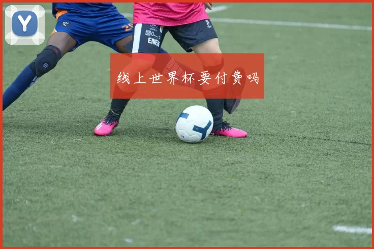 线上世界杯要付费吗