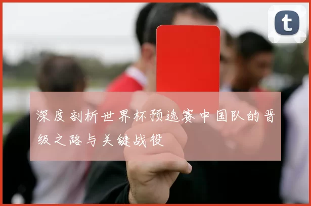 深度剖析世界杯预选赛中国队的晋级之路与关键战役