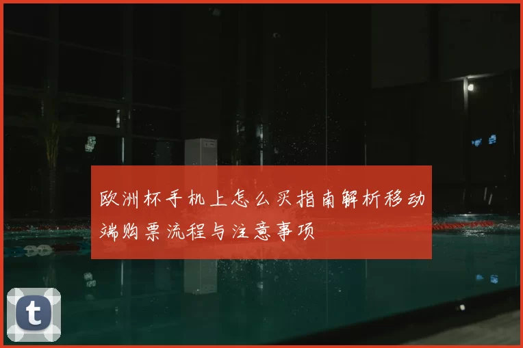 欧洲杯手机上怎么买指南解析移动端购票流程与注意事项