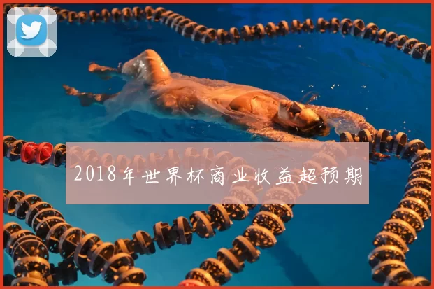 2018年世界杯商业收益超预期