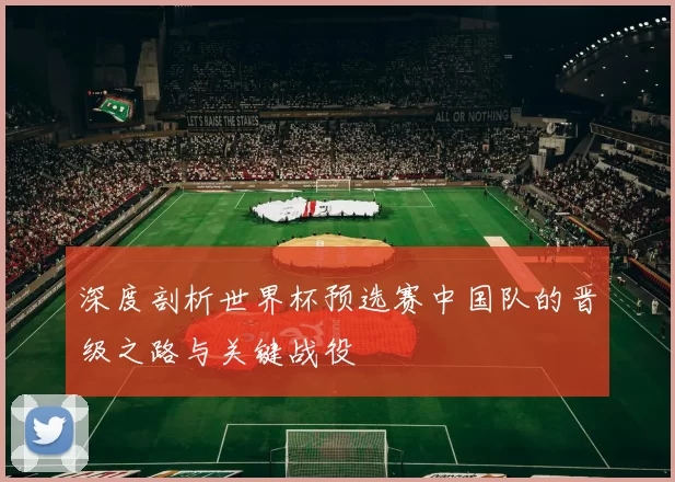 深度剖析世界杯预选赛中国队的晋级之路与关键战役