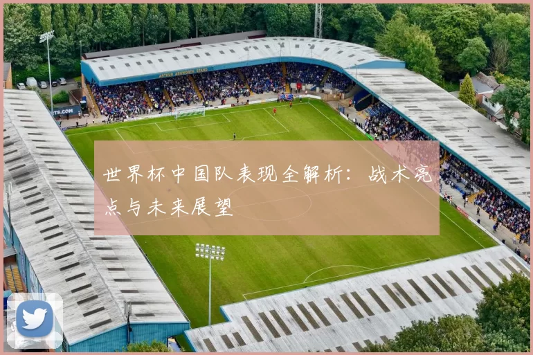 世界杯中国队表现全解析：战术亮点与未来展望