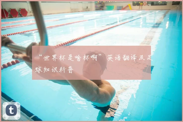 “世界杯是啥杯啊”英语翻译及足球知识科普