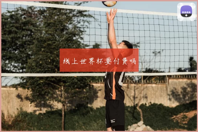 线上世界杯要付费吗